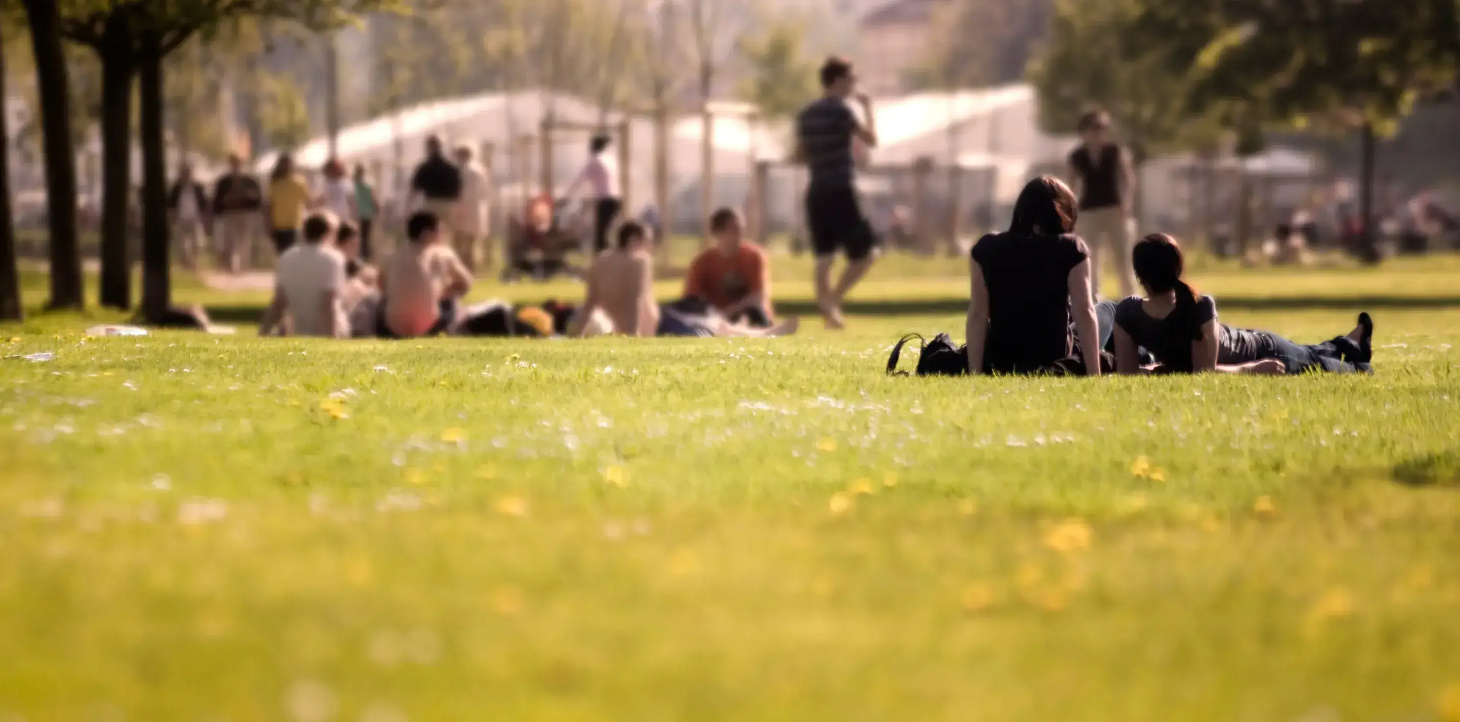 精準傳聲，打造完美聆聽